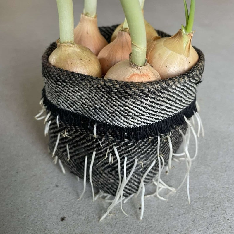 Biodegradable textile herb pot