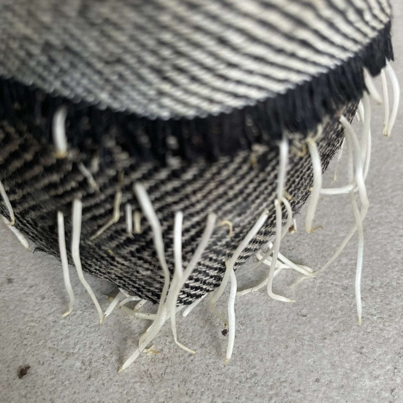 Biodegradable textile herb pot