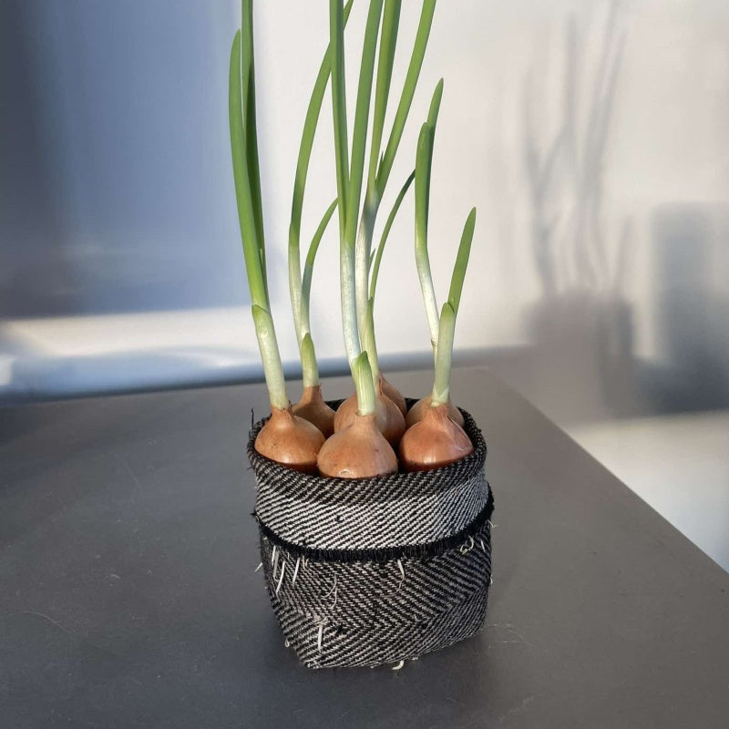 Biolagunevast tekstiilist maitsetaimede pott