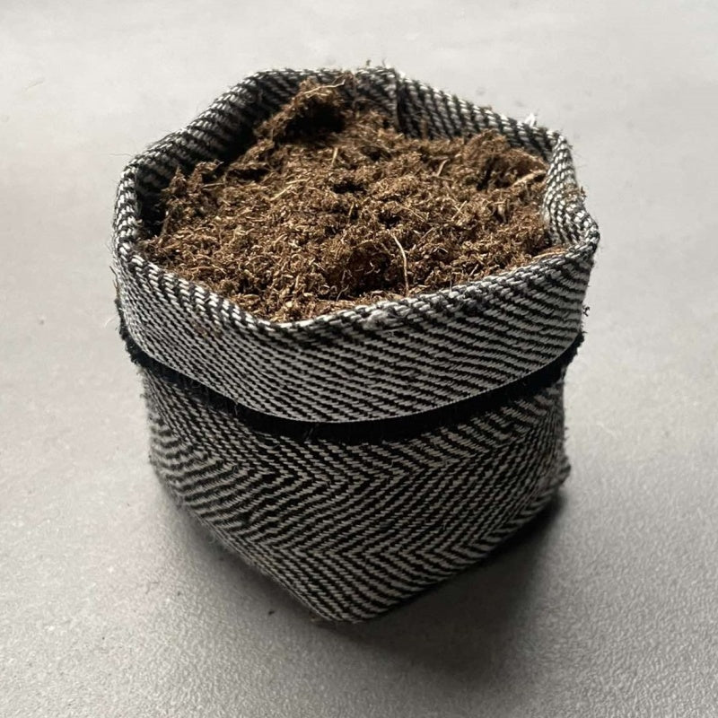 Biodegradable textile herb pot