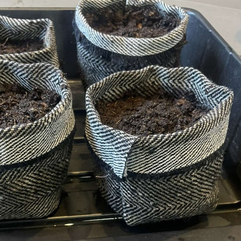 Biodegradable textile herb pot