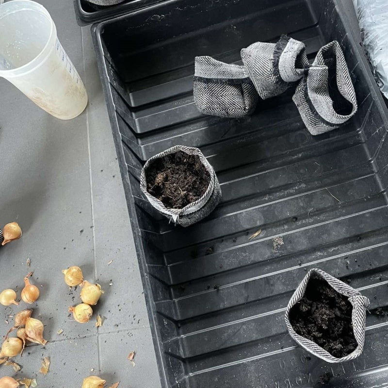 Biodegradable textile herb pot