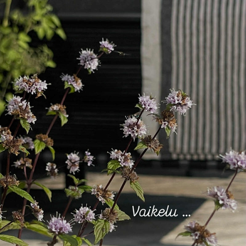 Linen Sauna Seat Cover, black striped 40x167 cm